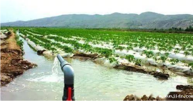 1693445834253004.png image.png