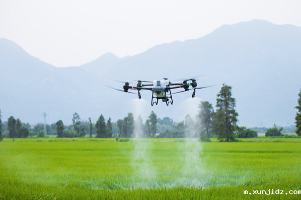 农用无人机作业.png